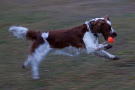 Playing Ball